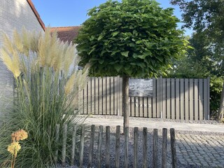 Vakantiehuis Brouwershaven Buitenaudio-opname 2