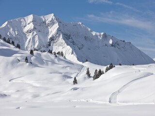 Casa per le vacanze Schröcken Ambiente 29