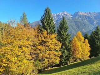 Herbst