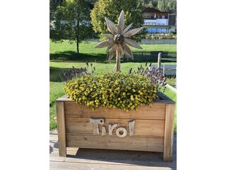 C6BD0355-8480-464B-940F-FB4CAE91EBDB_1_105_c