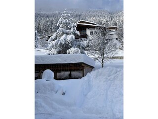 D7651C5F-D55D-44F3-AF7C-953C47157F97_1_105_c