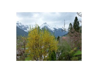 Landhaus Grawa Fulpmes Aussicht vom Garten im Früh
