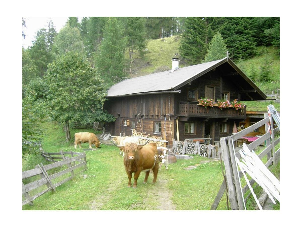 Gullenhütte Sommer