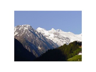 Stubai Sommer 195