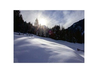 Waldcafe_Stubai-Landschaft