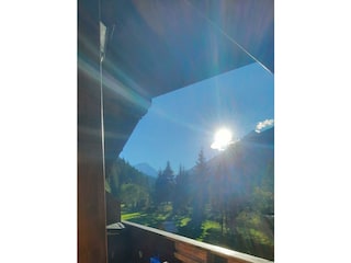 Zimmerblick Enzian