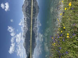 Serlessee