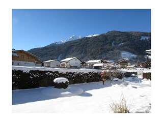 Winter