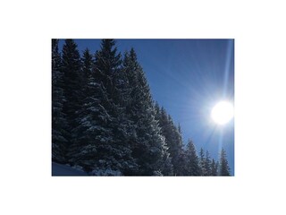 Winter 2017