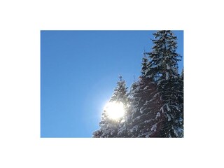 Winter 2017