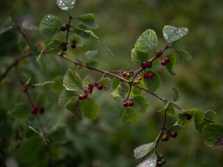 Natur erleben