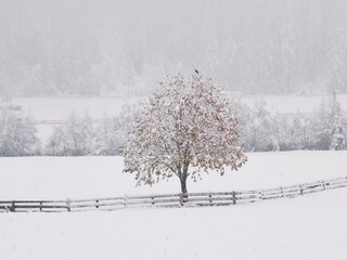 Der Winter ist da