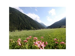 Balkon Nachmittagssonne freier Blick zum Stubaier