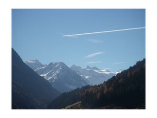 Blick Gletscher - Zuckerhütl