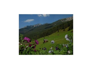 Ausblick Sommer