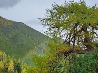 Natur pur