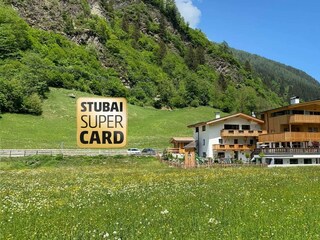 haus_sommer 2