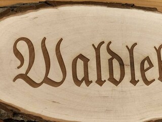 waldleben