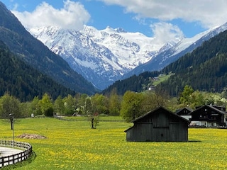 aussicht_sommer 4