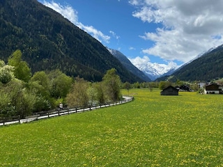 aussicht_sommer 3