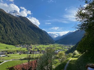 IMG_8488