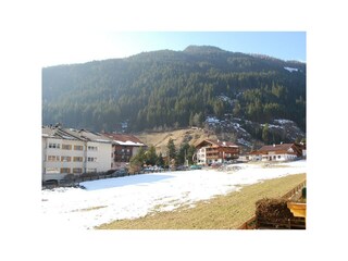 Ausblick ins Grüne Frühjahr