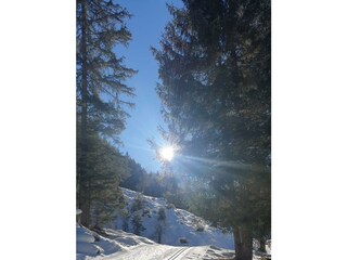 DAD5F54E-C10D-4160-92CE-F4882791E2DC