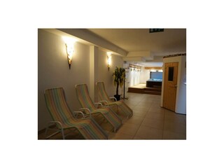 Wellness (4)