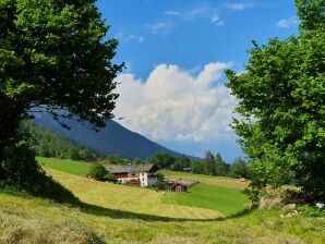 Apartment Ferienwohnung Serles - Neustift im Stubaital - image1