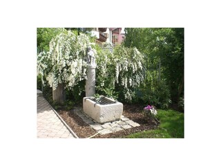 Appartments Agnes Brunnen