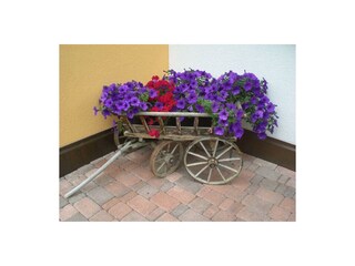 Appartments Agnes Blumen