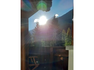 Zimmerblick Edelweiß