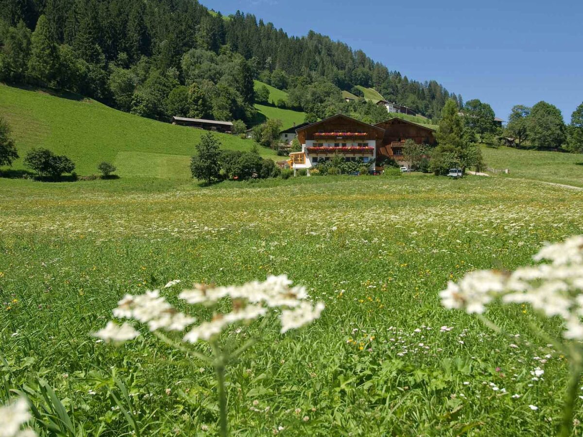 Pension Ladestatthof im Sommer