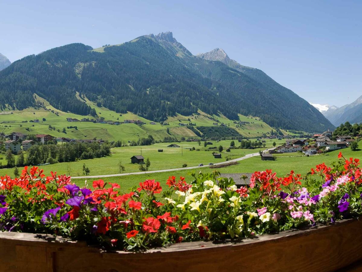 Pension Ladestatthof Ausblick im Sommer