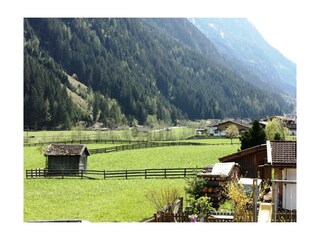 Aussicht vom Balkon im Sommer