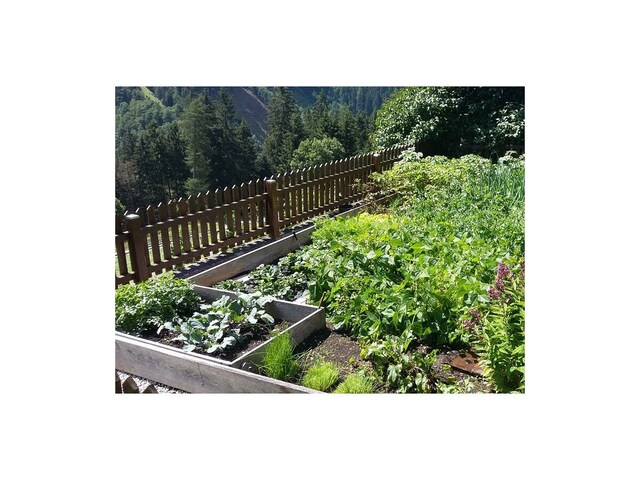 Bauerngarten