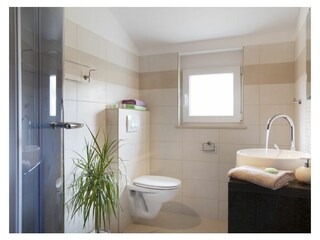 Villa Koromacno Caratteristiche 24