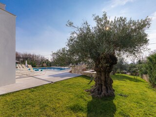 Villa Sveti Lovreč Labinski Registrazione all'aperto 6