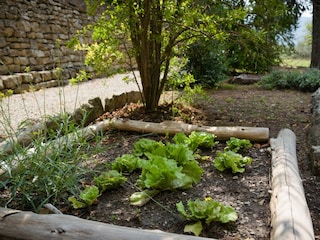 Kleiner "Gemüsegarten" im Garten