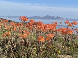 Casa per le vacanze Son Serra de Marina Ambiente 21