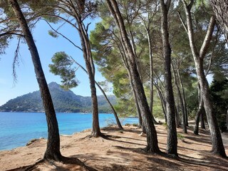 Casa per le vacanze Son Serra de Marina Ambiente 29