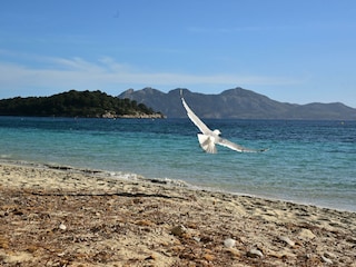 Casa per le vacanze Son Serra de Marina Ambiente 29
