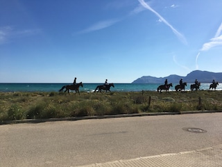 Casa per le vacanze Son Serra de Marina Ambiente 31
