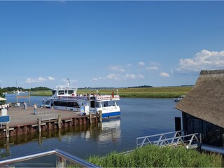 Appartamento per vacanze Zingst Ambiente 33