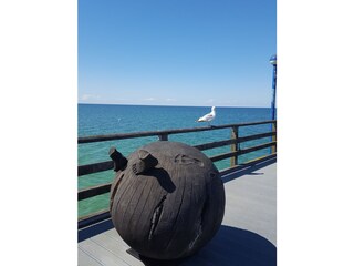 Appartamento per vacanze Zingst Ambiente 31