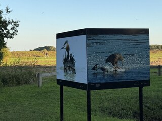 Jährliche Fotoausstellungen inmitten der Natur (Geo)