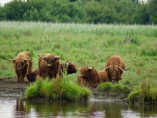Casa per le vacanze Anjum Ambiente 20