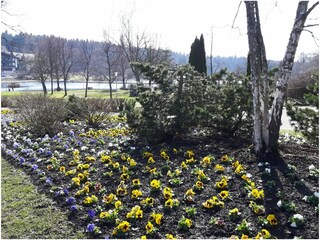 Frühjahrsimpressionen am Kurpark