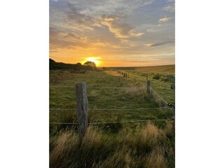 Appartamento per vacanze Juist Ambiente 25