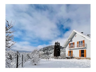 Ferienhaus EulenNest Millstättersee Winter